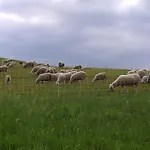 Na Kluk Idrija