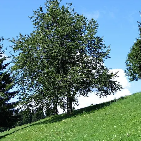 Frühstückspension Na Kluk 3*