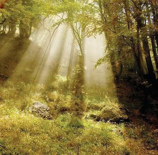 Na Kluk Bed & Breakfast 3*