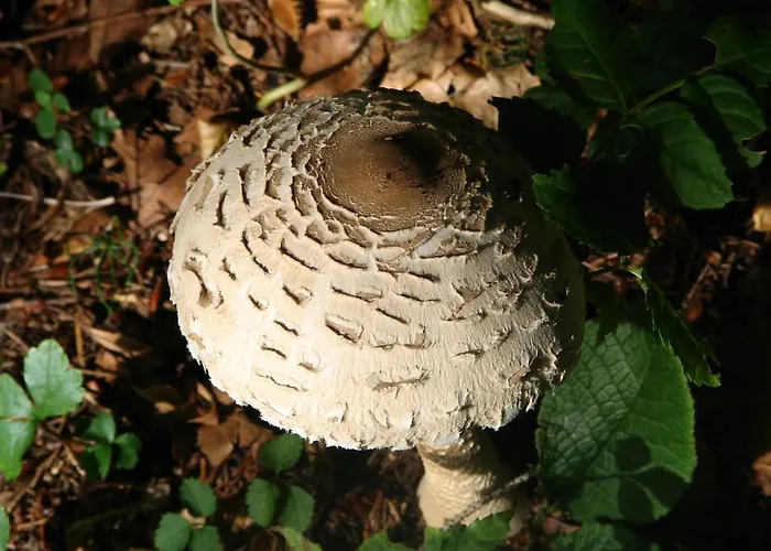 Na Kluk Bed & Breakfast