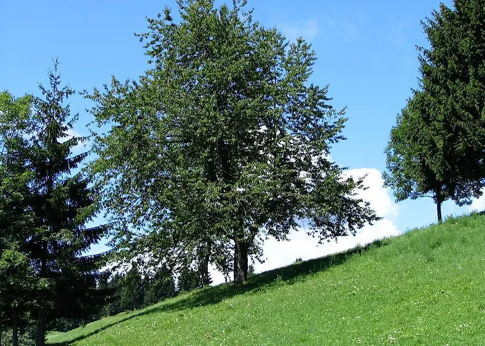 Bed & Breakfast Na Kluk 3*